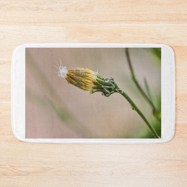 Item preview, Macro Dewy Yellow Flower Bud With Dandelion Seed And Water Droplets On Stem designed and sold by Nmallia.