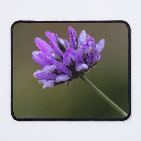 Item preview, Purple Wildflower Close-Up With Dew Drops On Petals Macro Photography Of Delicate Bloom In Soft Bokeh designed and sold by Nmallia.