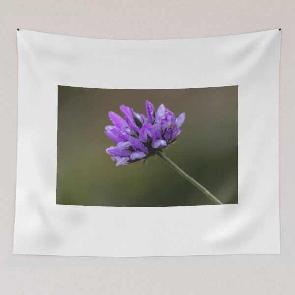 Item preview, Purple Wildflower Close-Up With Dew Drops On Petals Macro Photography Of Delicate Bloom In Soft Bokeh designed and sold by Nmallia.