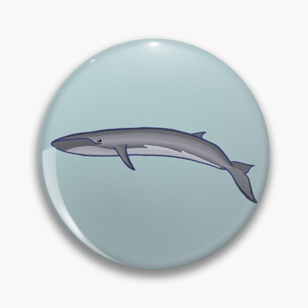 Item preview, Fin Whale designed and sold by ODruryStudios.