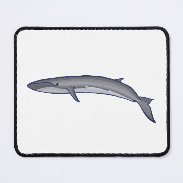 Item preview, Fin Whale designed and sold by ODruryStudios.