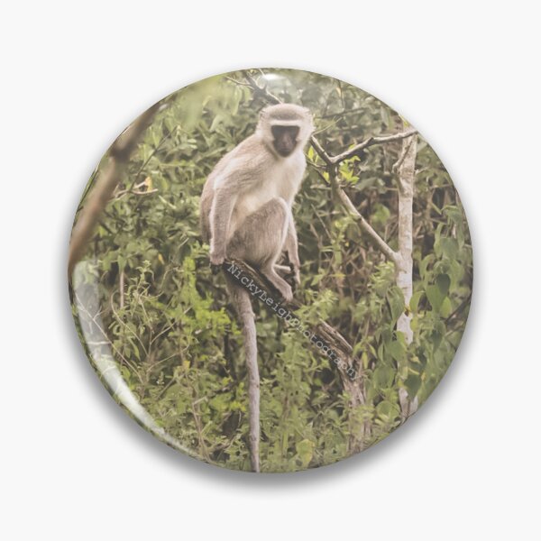 Item preview, Vervet Monkey  designed and sold by NickyLeighPhoto.