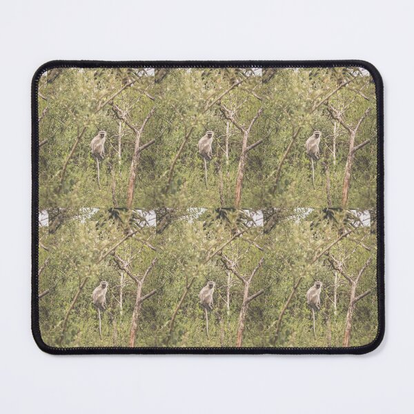 Item preview, Vervet Monkey  designed and sold by NickyLeighPhoto.