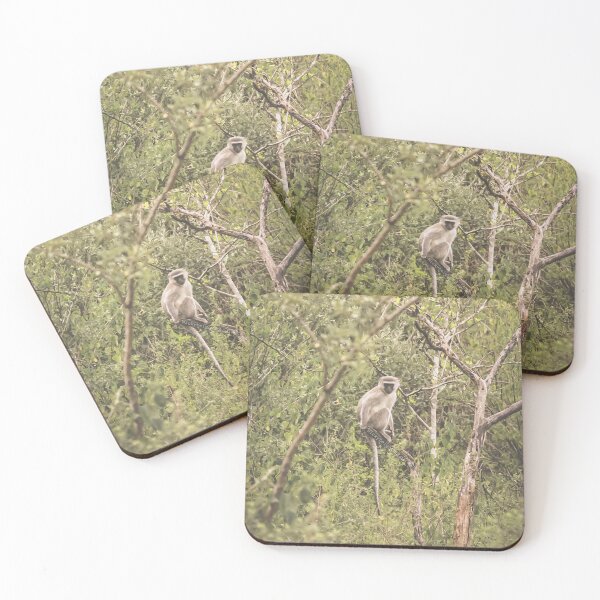 Item preview, Vervet Monkey  designed and sold by NickyLeighPhoto.