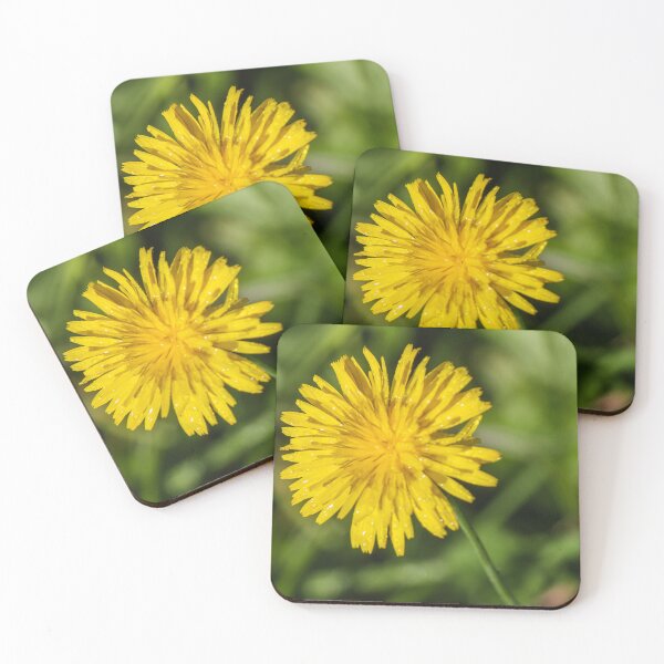 Item preview, Close-Up Yellow Dandelion Flower With Dew Drops In Morning Light Green Grass Background designed and sold by Nmallia.