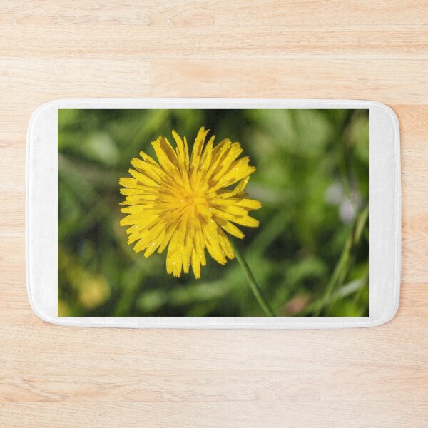 Item preview, Close-Up Yellow Dandelion Flower With Dew Drops In Morning Light Green Grass Background designed and sold by Nmallia.