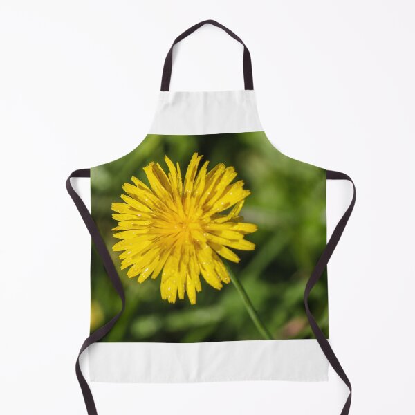 Item preview, Close-Up Yellow Dandelion Flower With Dew Drops In Morning Light Green Grass Background designed and sold by Nmallia.