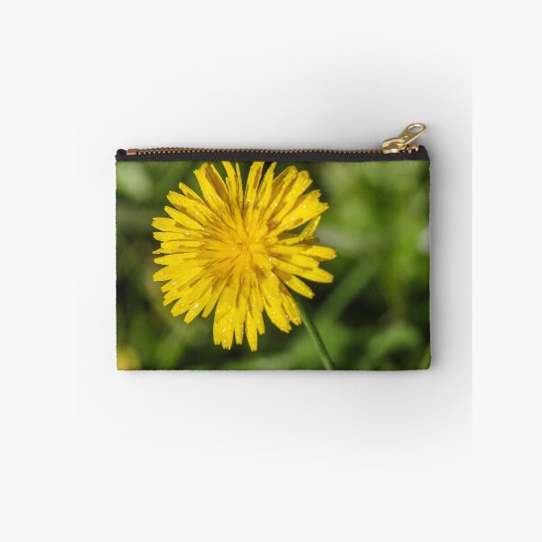 Item preview, Close-Up Yellow Dandelion Flower With Dew Drops In Morning Light Green Grass Background designed and sold by Nmallia.