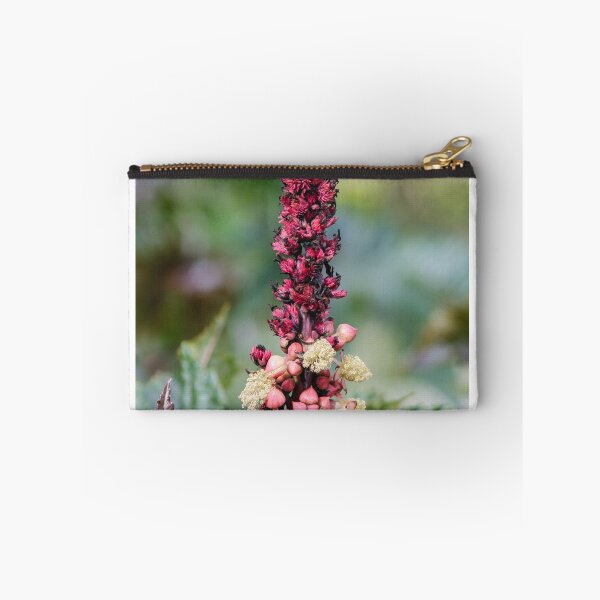 Item preview, Pink Flower Spike And Seed Pods On Ornamental Castor Plant With Textured Leaves In Garden designed and sold by Nmallia.