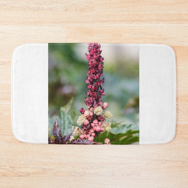 Item preview, Pink Flower Spike And Seed Pods On Ornamental Castor Plant With Textured Leaves In Garden designed and sold by Nmallia.