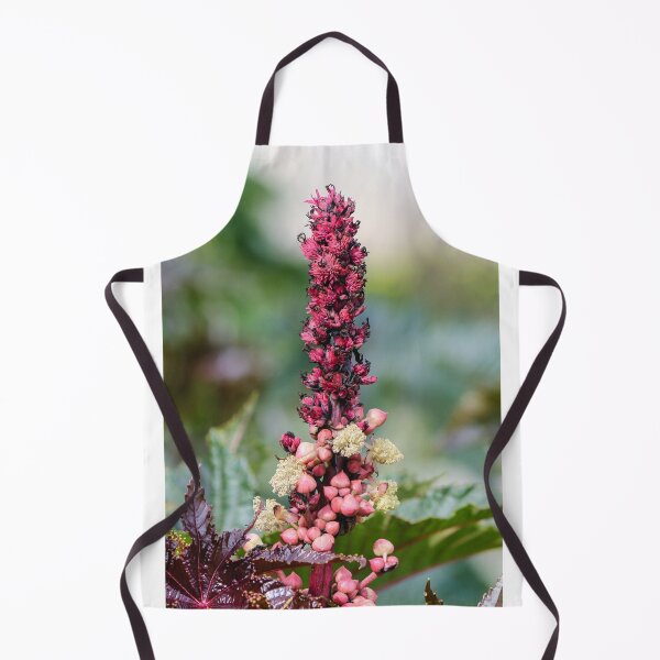 Item preview, Pink Flower Spike And Seed Pods On Ornamental Castor Plant With Textured Leaves In Garden designed and sold by Nmallia.