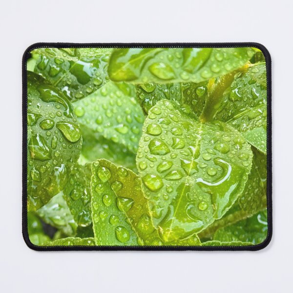 Item preview, Wet leaves designed and sold by Bearbunz.