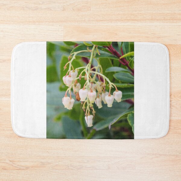 Item preview, Cluster Of White Bell Flowers Hanging From A Green Shrub With Glossy Leaves In Garden designed and sold by Nmallia.