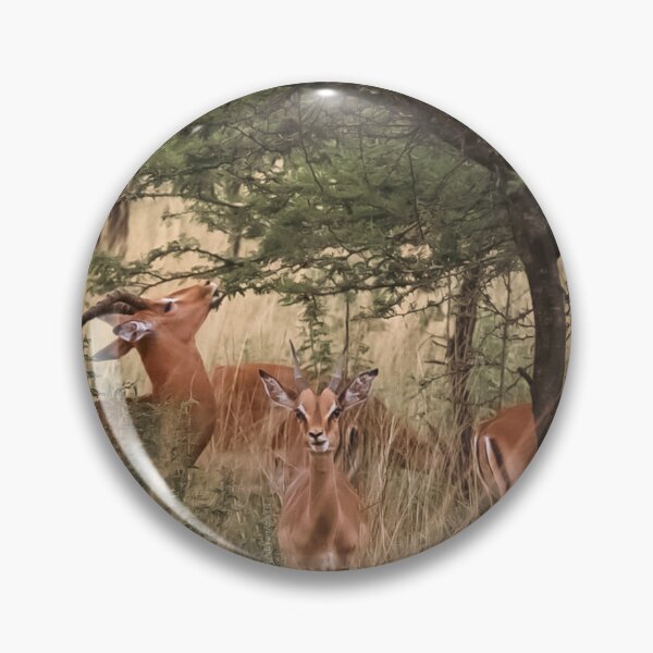 Item preview, Little Springbok designed and sold by NickyLeighPhoto.