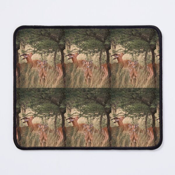 Item preview, Little Springbok designed and sold by NickyLeighPhoto.