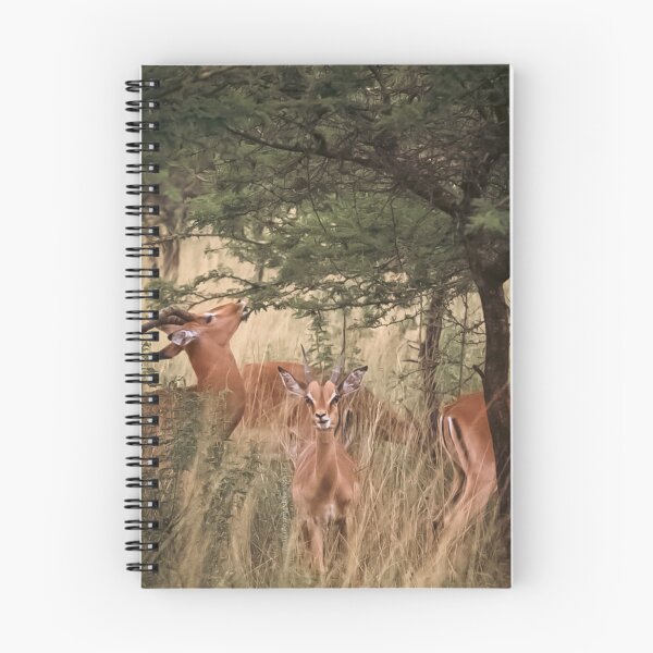 Item preview, Little Springbok designed and sold by NickyLeighPhoto.