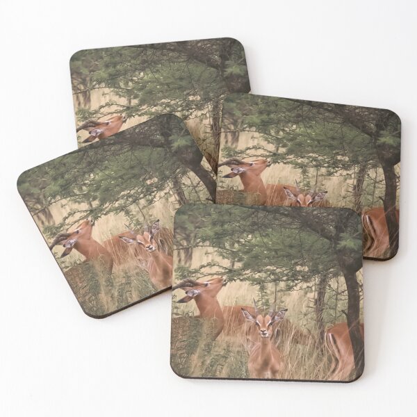 Item preview, Little Springbok designed and sold by NickyLeighPhoto.