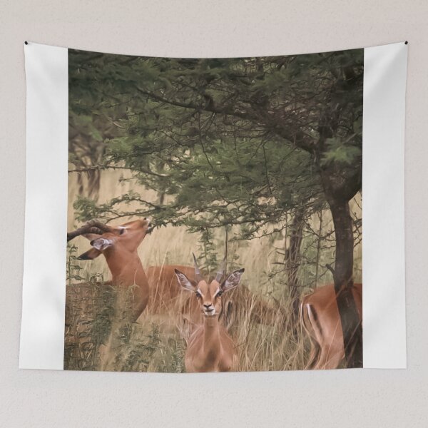 Item preview, Little Springbok designed and sold by NickyLeighPhoto.