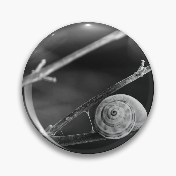 Item preview, Snail Shell on Thin Branches in Black and White Macro Photograph Evoking Minimal Serenity designed and sold by Nmallia.