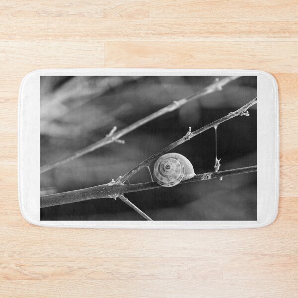 Item preview, Snail Shell on Thin Branches in Black and White Macro Photograph Evoking Minimal Serenity designed and sold by Nmallia.