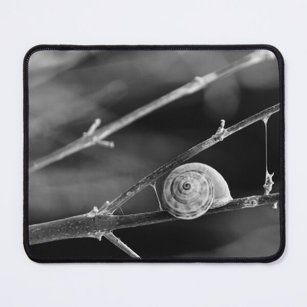 Item preview, Snail Shell on Thin Branches in Black and White Macro Photograph Evoking Minimal Serenity designed and sold by Nmallia.