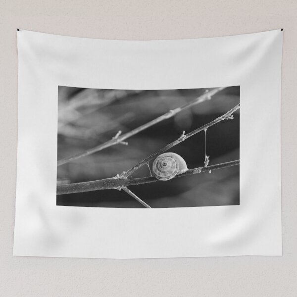 Item preview, Snail Shell on Thin Branches in Black and White Macro Photograph Evoking Minimal Serenity designed and sold by Nmallia.