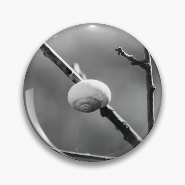 Item preview, Black and White Macro of a Snail Shell Resting on a Branch With Web Strands and Minimalist Composition designed and sold by Nmallia.