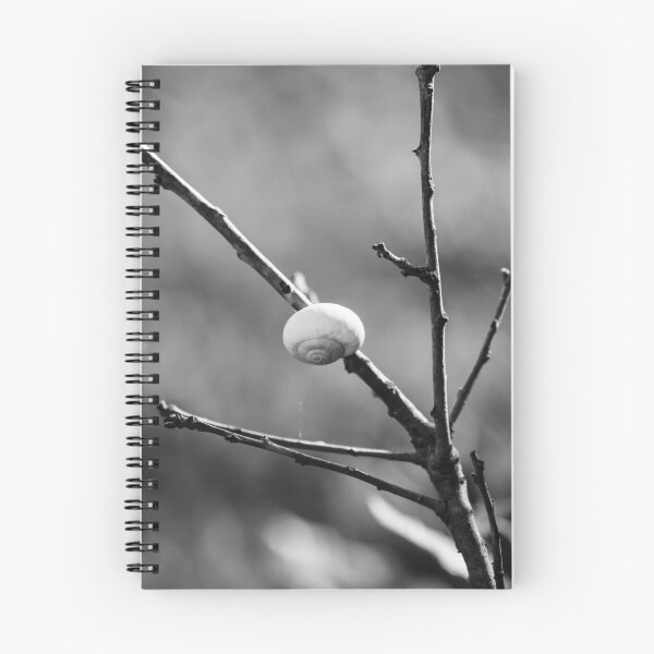 Item preview, Black and White Macro of a Snail Shell Resting on a Branch With Web Strands and Minimalist Composition designed and sold by Nmallia.