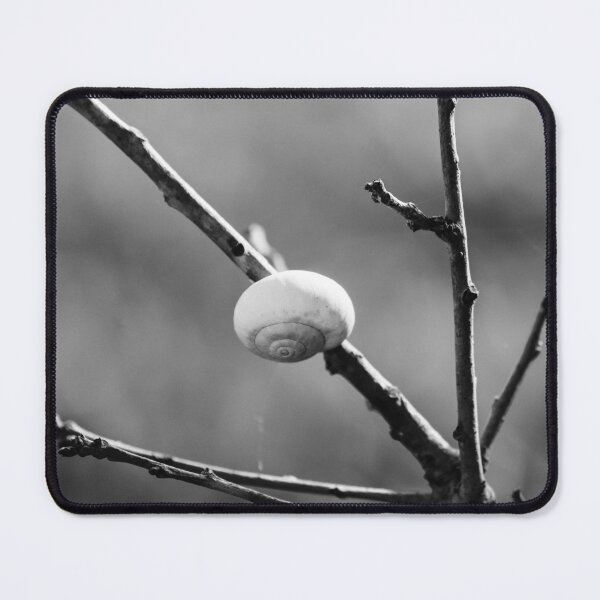Item preview, Black and White Macro of a Snail Shell Resting on a Branch With Web Strands and Minimalist Composition designed and sold by Nmallia.