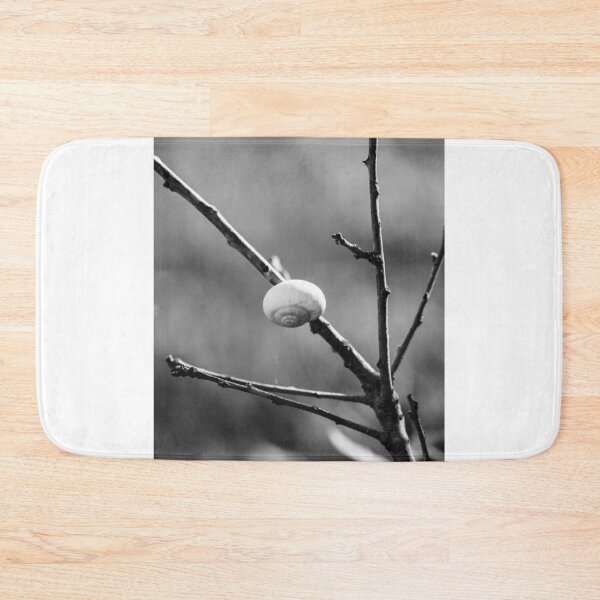 Item preview, Black and White Macro of a Snail Shell Resting on a Branch With Web Strands and Minimalist Composition designed and sold by Nmallia.