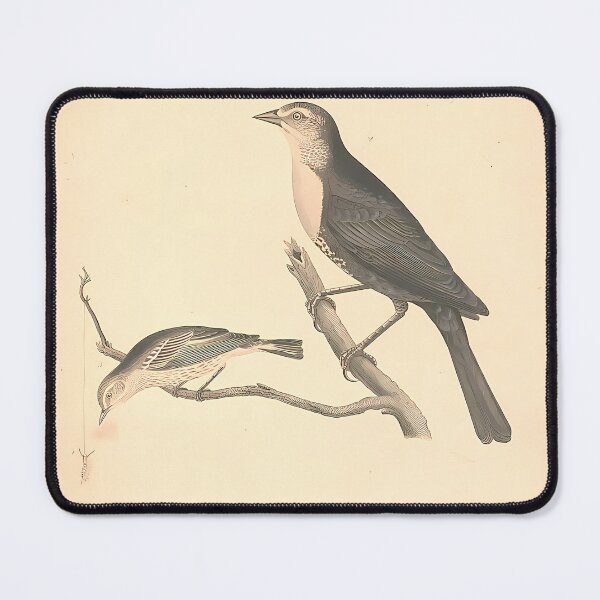 Item preview, Birds And Caterpillar | Insect Art designed and sold by GammaRay.