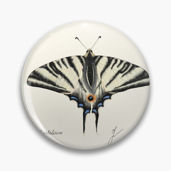 Item preview, Scarce Swallowtail Print - Iphiclides Entomology Naturalist Art designed and sold by Fiurdelin.