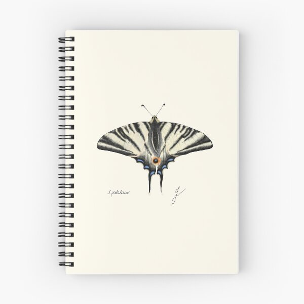 Item preview, Scarce Swallowtail Print - Iphiclides Entomology Naturalist Art designed and sold by Fiurdelin.