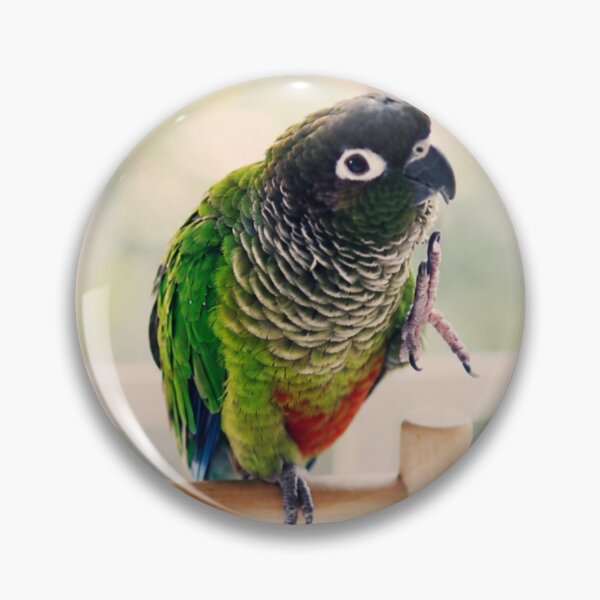 Item preview, Forever on the Perch designed and sold by Kimberly Palmer.