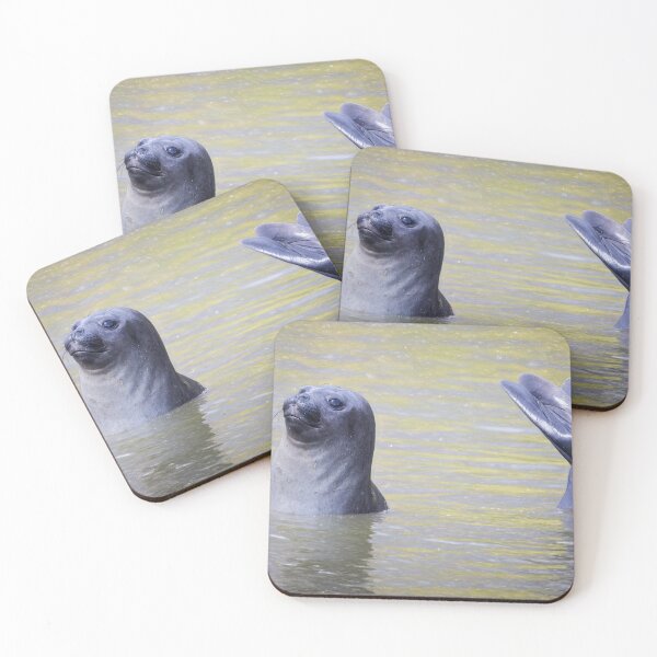 Item preview, Elephant Seal Mermaid Pose designed and sold by PhotoArt by Joan Carroll.