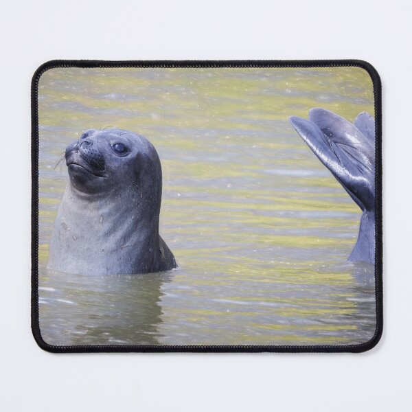 Item preview, Elephant Seal Mermaid Pose designed and sold by PhotoArt by Joan Carroll.