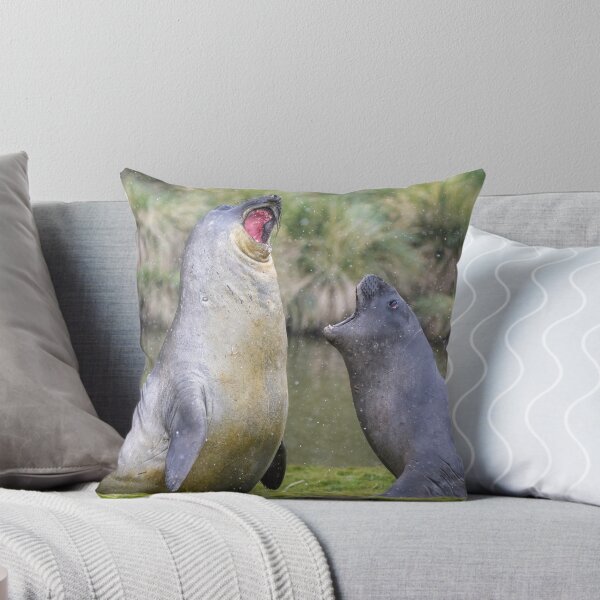 Item preview, Male Elephant Seal Display Fortuna Bay designed and sold by PhotoArt by Joan Carroll.