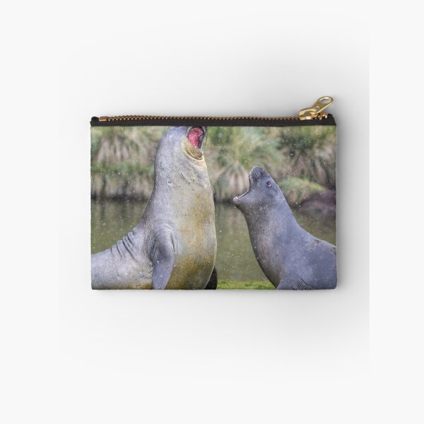 Item preview, Male Elephant Seal Display Fortuna Bay designed and sold by PhotoArt by Joan Carroll.