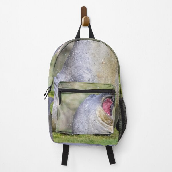 Item preview, Male Elephant Seal Display Fortuna Bay designed and sold by PhotoArt by Joan Carroll.