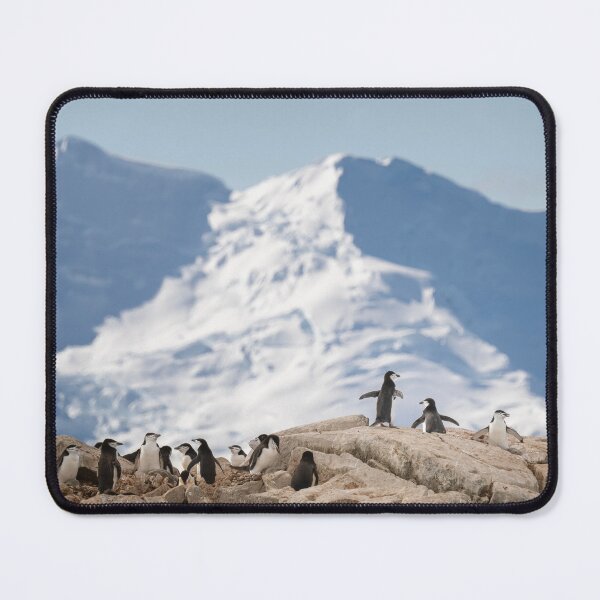 Item preview, All This Can Be Yours designed and sold by PhotoArt by Joan Carroll.