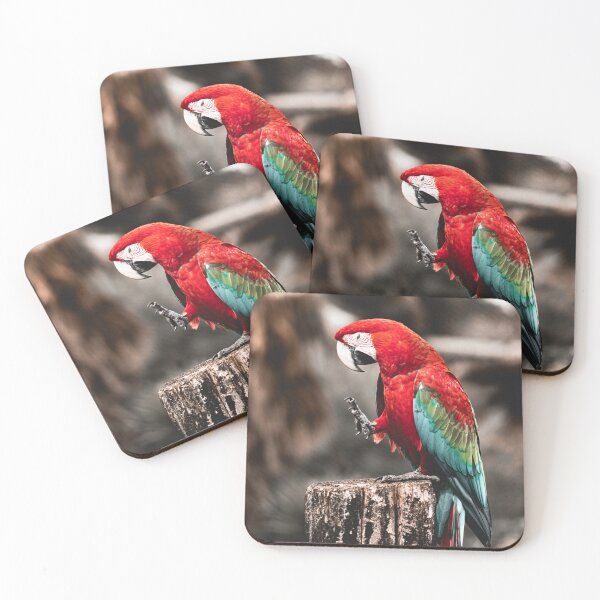 Item preview, parrot colors designed and sold by Cheneuil.