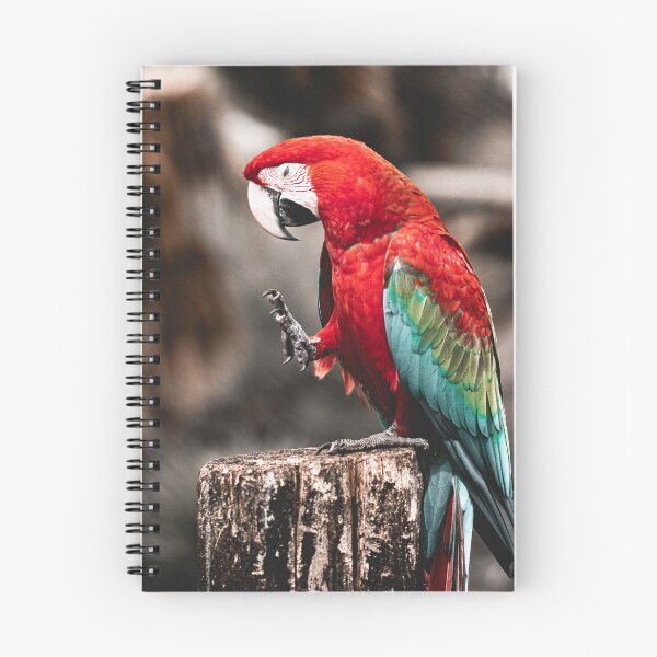 Aperçu de l'œuvre parrot colors créée et vendue par Cheneuil.