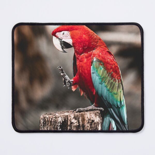 Item preview, parrot colors designed and sold by Cheneuil.