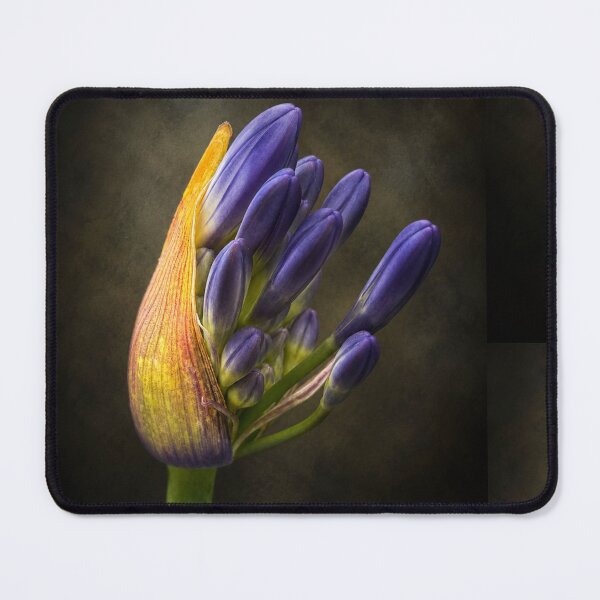Item preview, Emergence designed and sold by Kimberly Palmer.