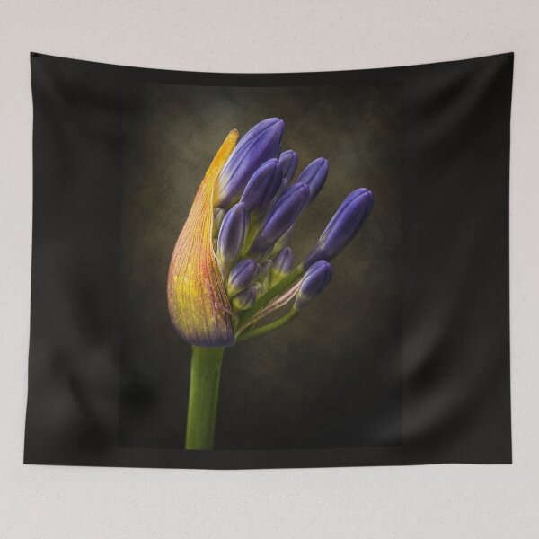 Item preview, Emergence designed and sold by Kimberly Palmer.