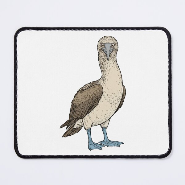 Item preview, Blue-footed Booby – Minimalist Line Drawing designed and sold by furrydrool.
