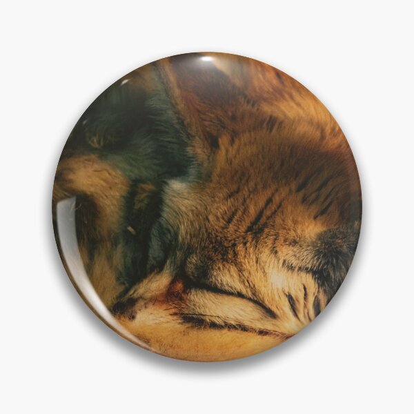 Aperçu de l'œuvre renard desert dort créée et vendue par Cheneuil.