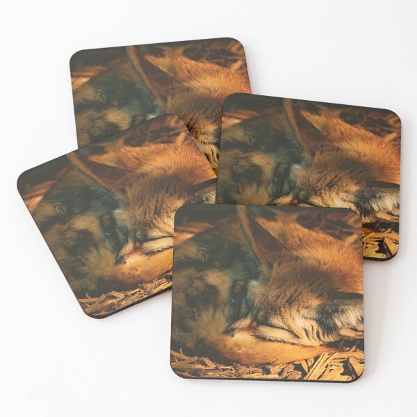Item preview, desert fox sleeps designed and sold by Cheneuil.