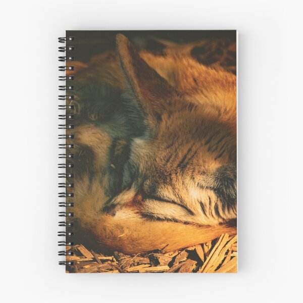 Item preview, desert fox sleeps designed and sold by Cheneuil.