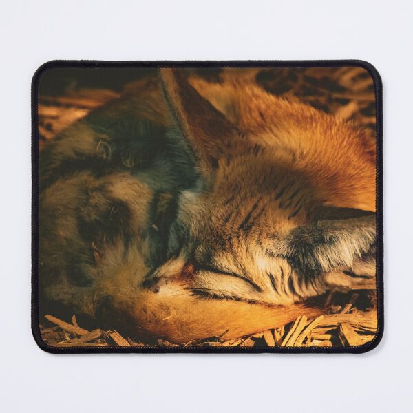 Item preview, desert fox sleeps designed and sold by Cheneuil.